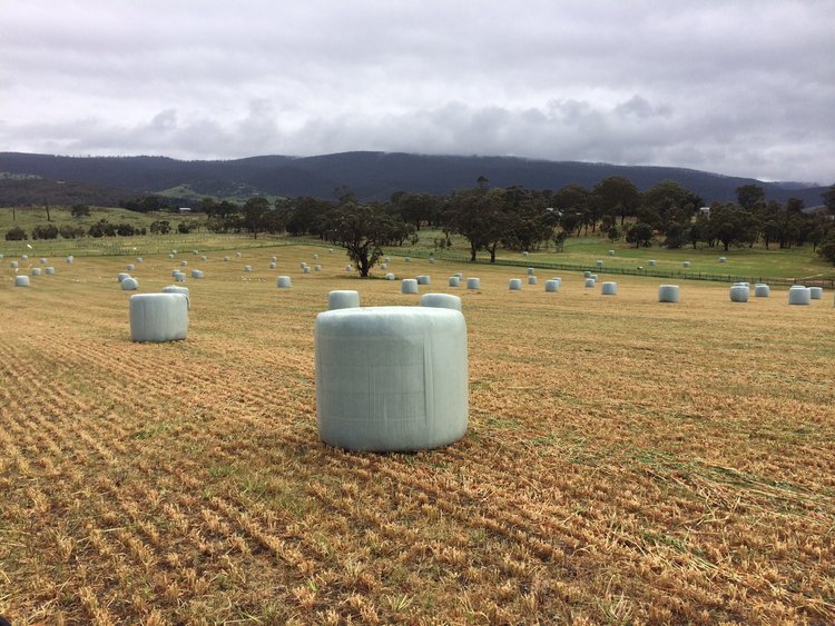 750mm silage wrap,hay wrap,silage film manufacturer