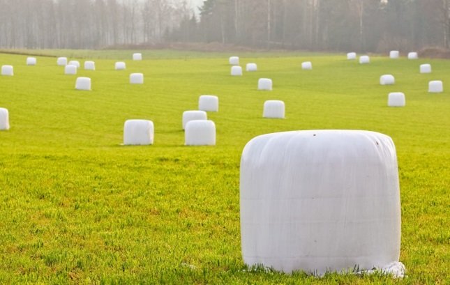 silage film,hay bale wrap,bale wrap manufacturer
