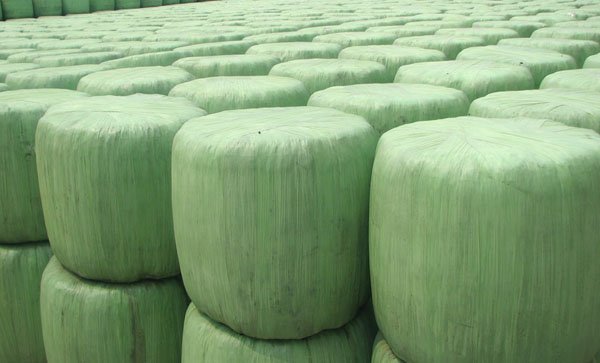 Silage Film (2)